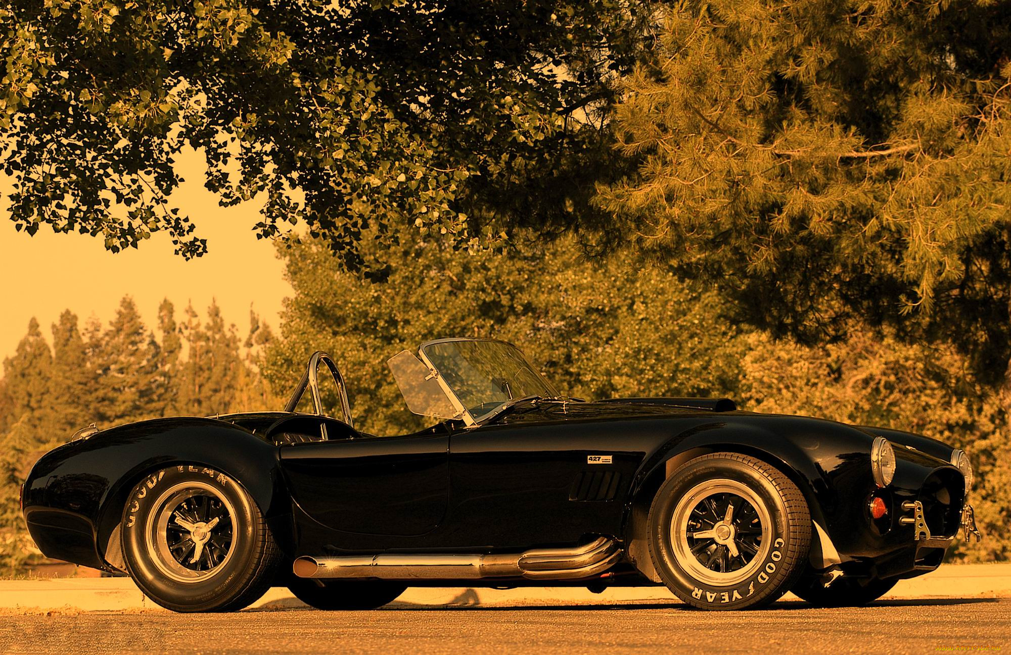 , ac, cobra, shelby